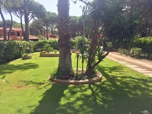 A well-maintained garden with a variety of plants and trees, a paved walkway, and a neatly trimmed lawn.