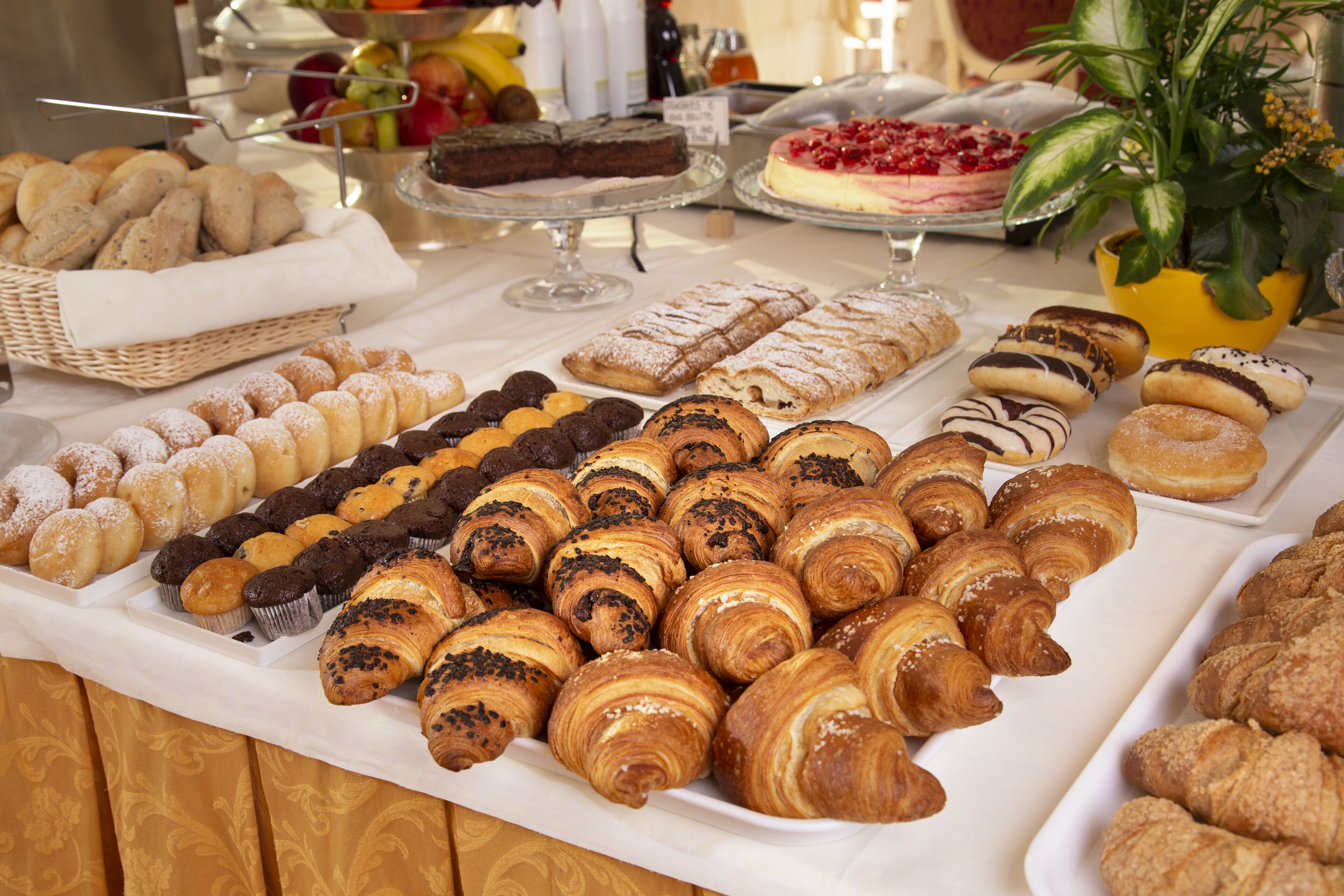 Photo - Hotel Gallia Palace