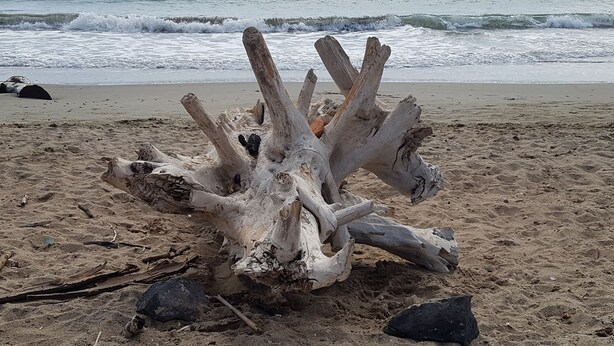 A piece of driftwood on a sandy beach with waves in the background. - Villa with 132 m2 of living space large living area large terrace and landscaped garden (Vias)