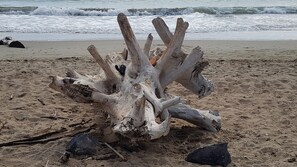 A piece of driftwood on a sandy beach with waves in the background.