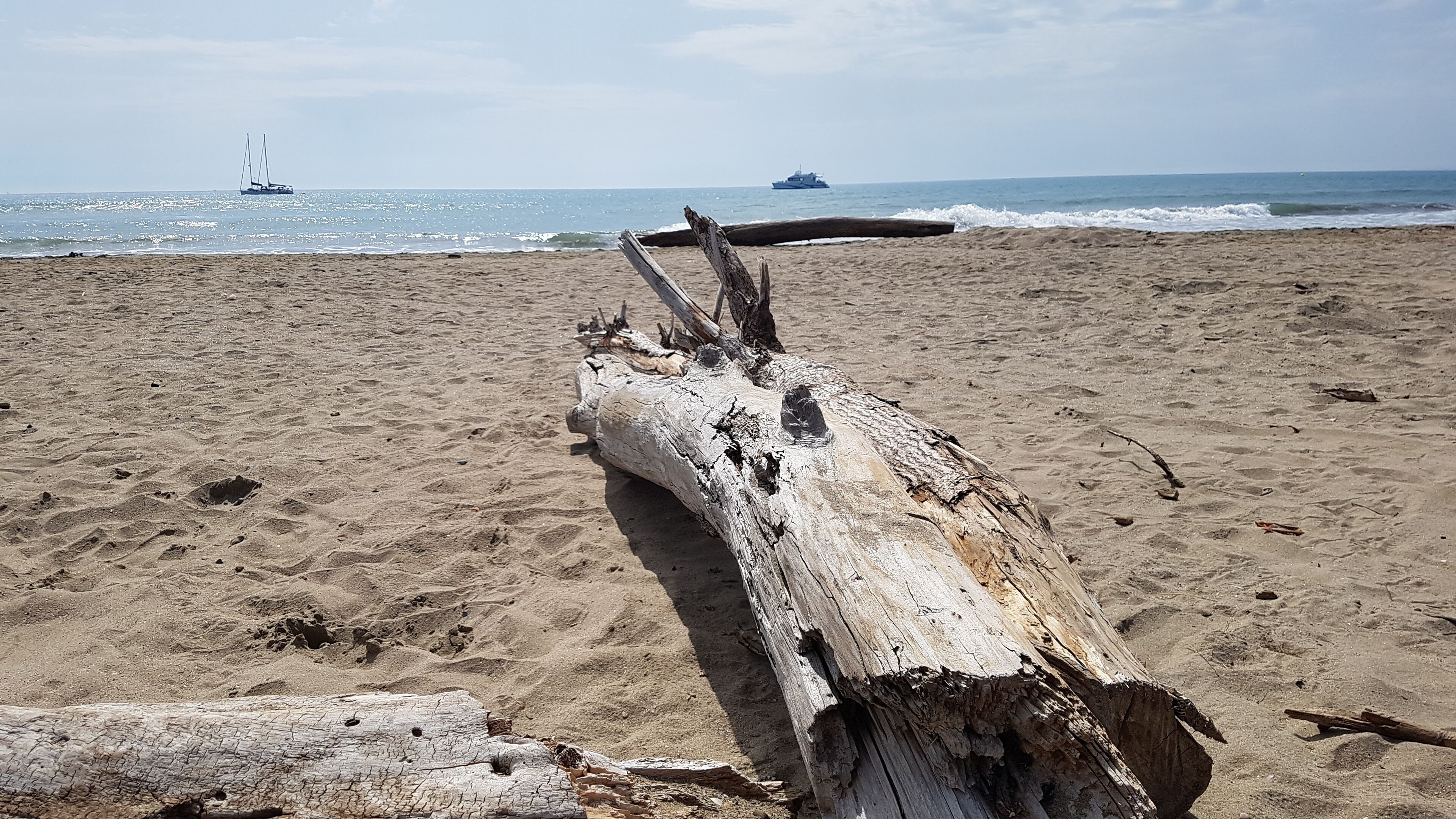 Playa en los alrededores 