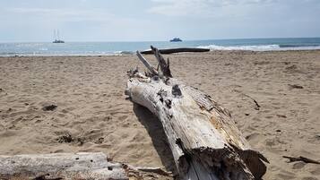 Playa en los alrededores