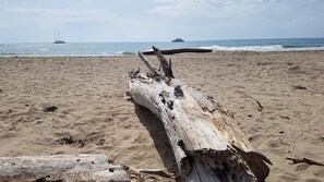 Playa en los alrededores