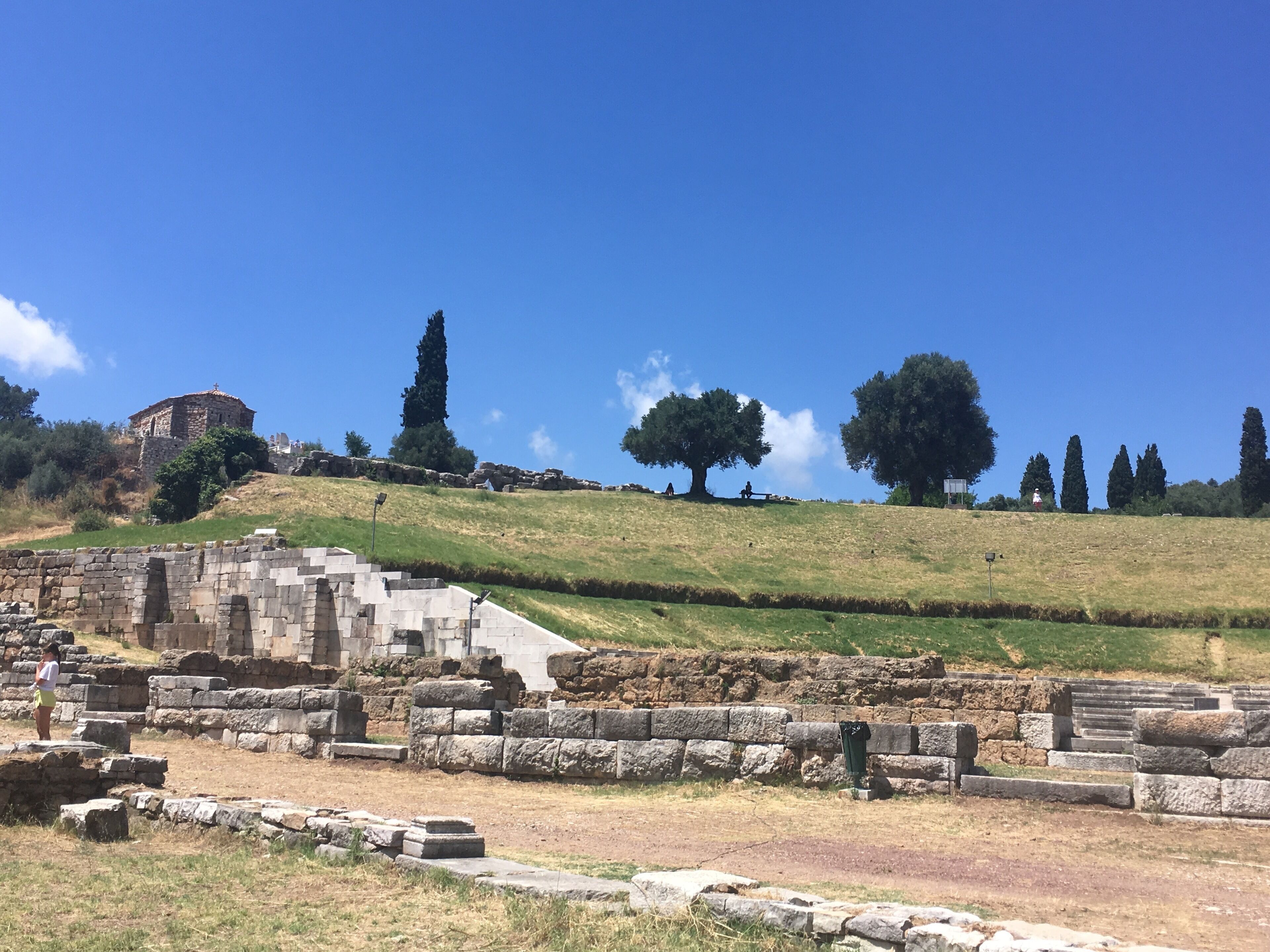 Ancient ruins with stone structures and a hill with trees.