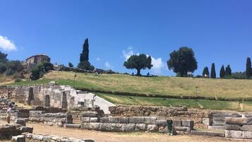 Ancient ruins with stone structures and a hill with trees.