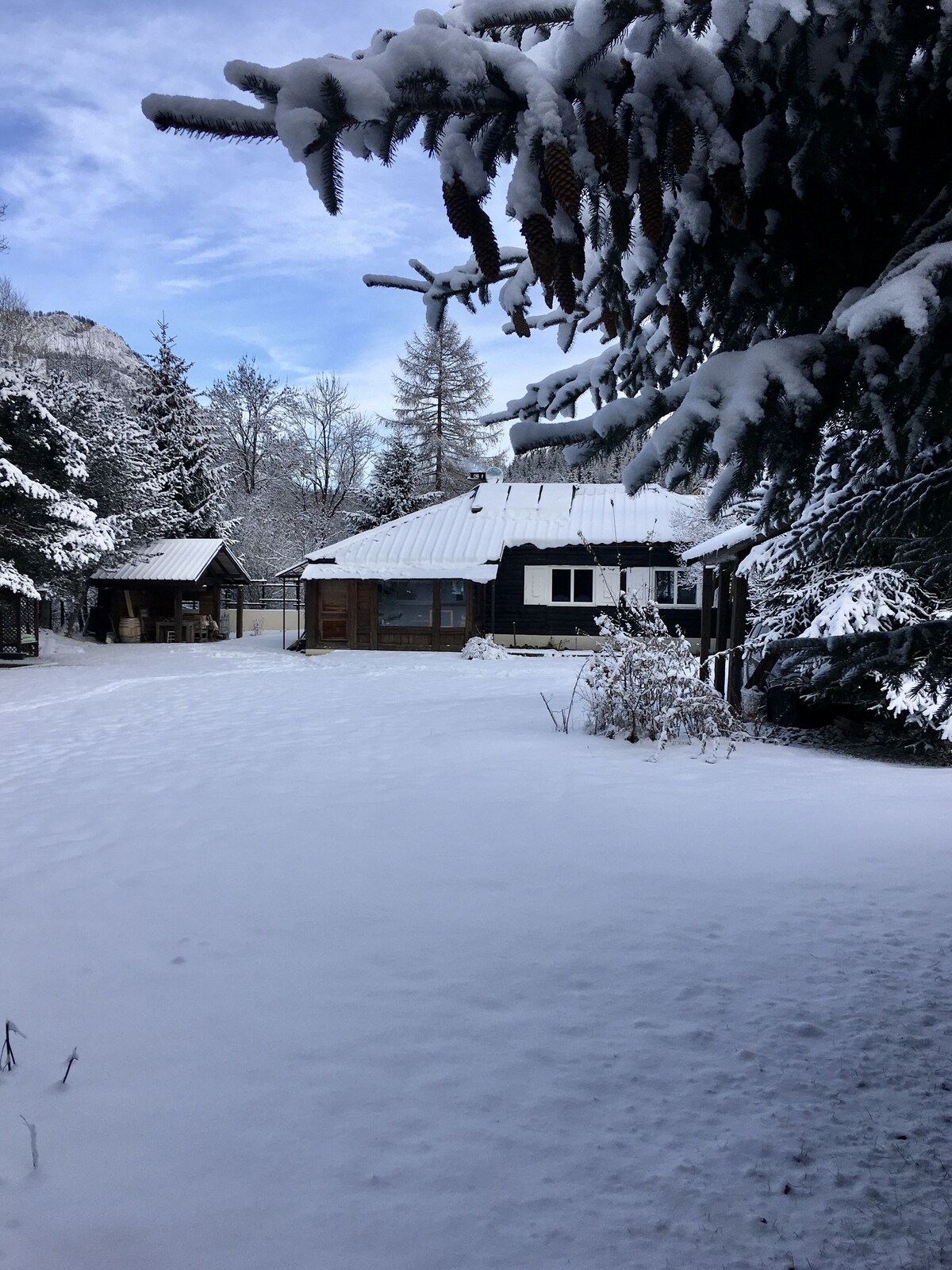 Image de profil de l’hôte