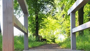 A wooden pathway leading to a bench under a canopy of trees. - Biohotel Stiftsgut Wilhelmsglücksbrunn (Amt Creuzburg)