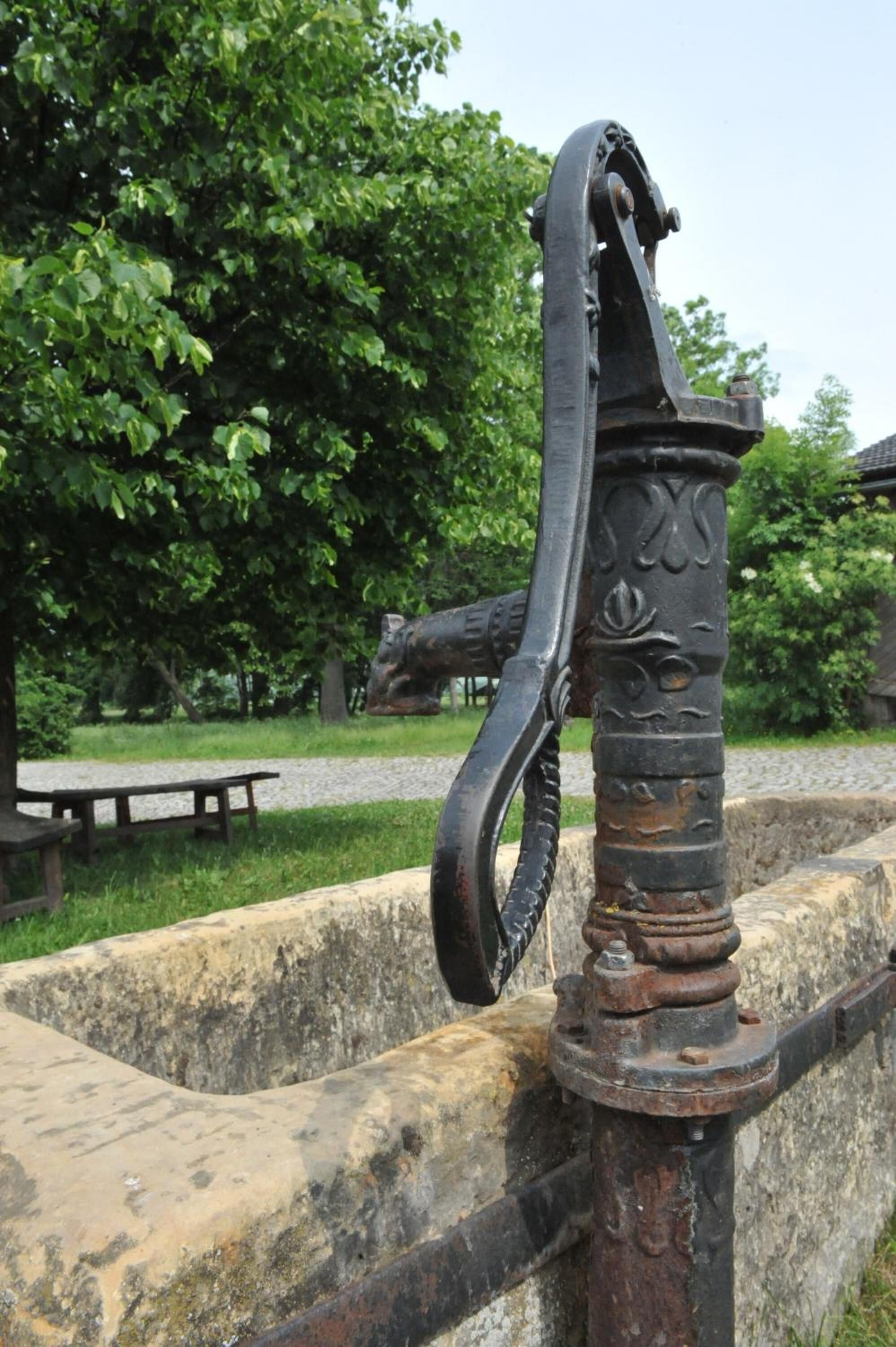 A historical cannon mounted on a stone wall with a grassy area and trees in the background.