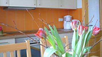 Grand Apartment | Private kitchen | Coffee/tea maker, electric kettle