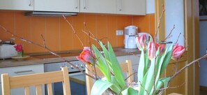 Apartamento grand | Cozinha privada | Cafeteira/chaleira, chaleira elétrica