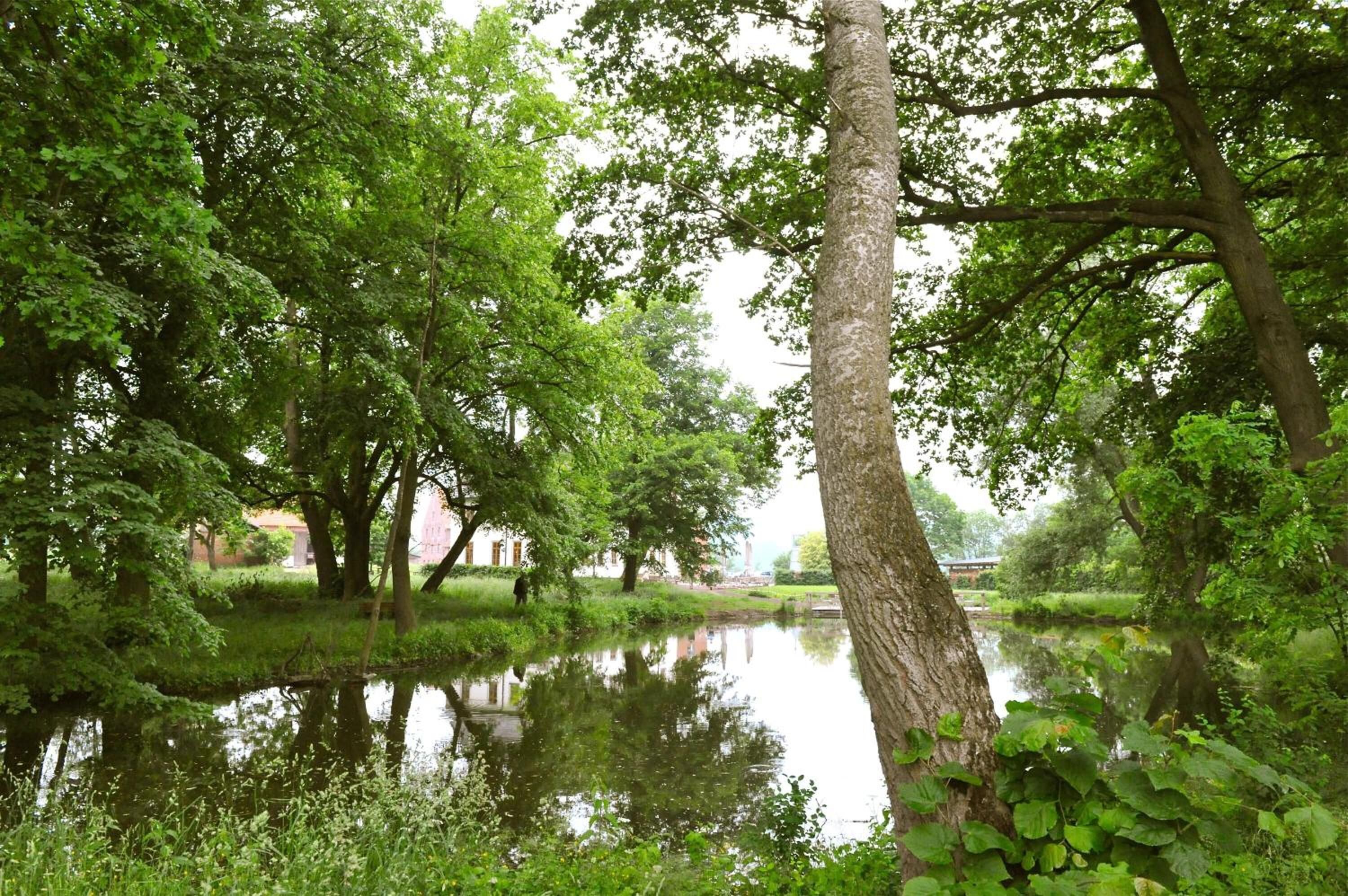 Una tranquilla scena lungo il fiume, con vegetazione lussureggiante e un'acqua calma che riflette gli alberi.
