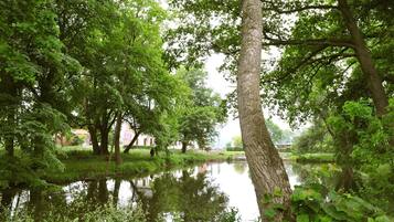 Una tranquilla scena lungo il fiume, con vegetazione lussureggiante e un'acqua calma che riflette gli alberi.