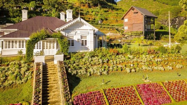 A white building with a red roof, surrounded by a well-maintained garden with various plants and flowers. - The Clovelly Bungalow (Nuwara Eliya)