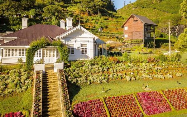 The Clovelly Bungalow