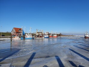 A frozen waterfront with several boats docked, a building with a red roof, and a clear blue sky.