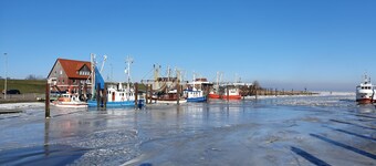 Vacation home on the North Sea - family-friendly, well-equipped & plenty of space