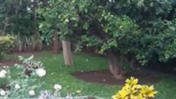 Executive Room | Garden view