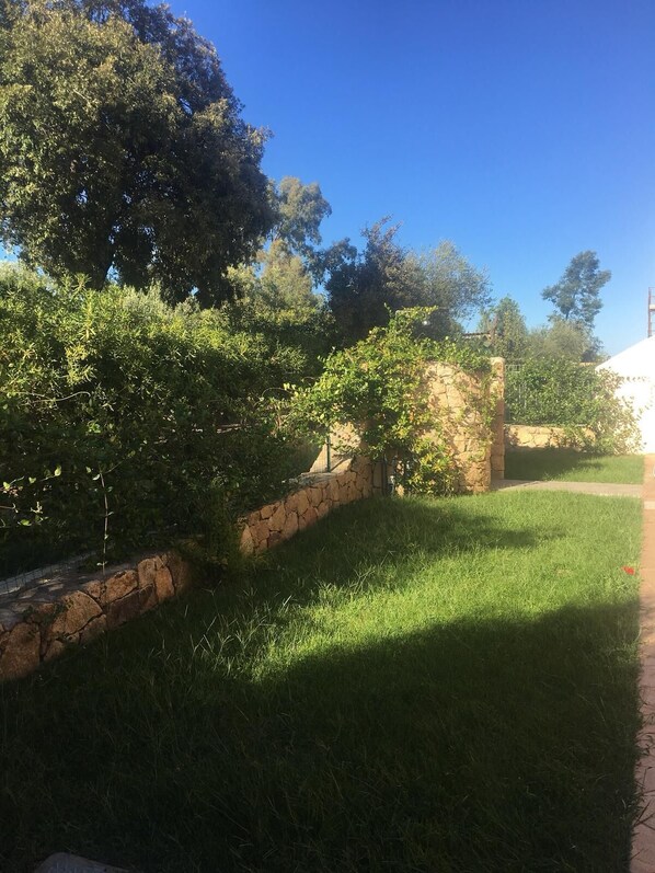 A stone wall with a grassy area and trees. - Casa Vacanze Ambra (Budoni)