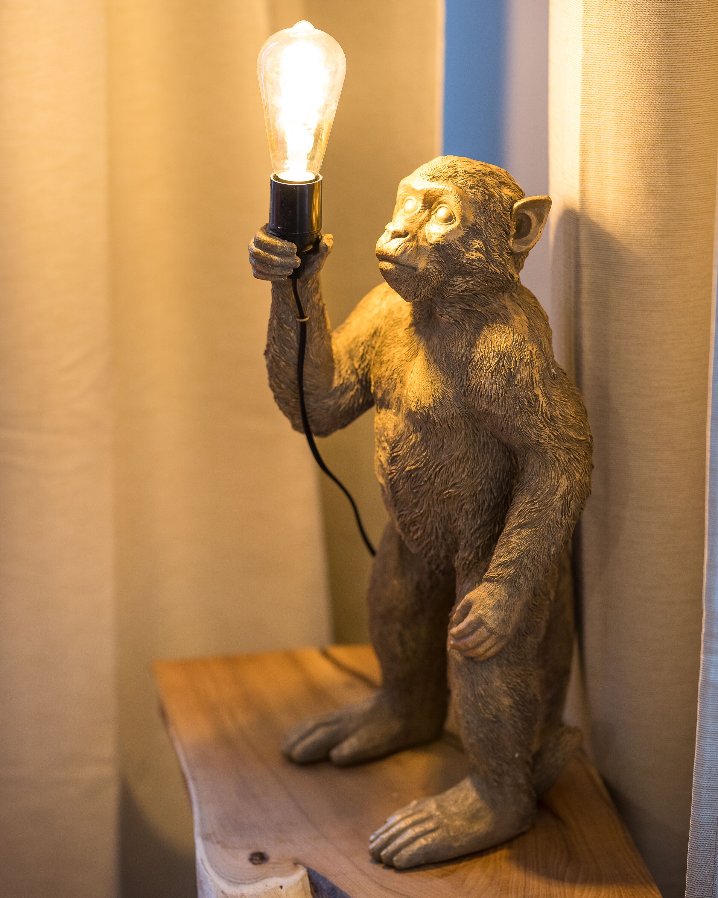Una escultura de mono sosteniendo una bombilla.