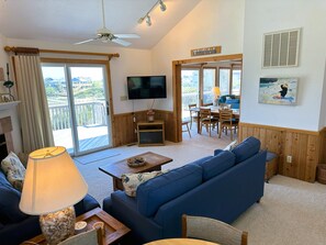 Televisión, chimenea, reproductor de DVD y libros 