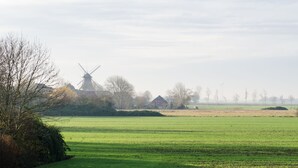 Plattelandsgezicht met een windmolen, open velden en enkele huizen.