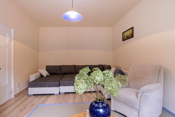 TV - Apartment Erfurt old town (Erfurt)