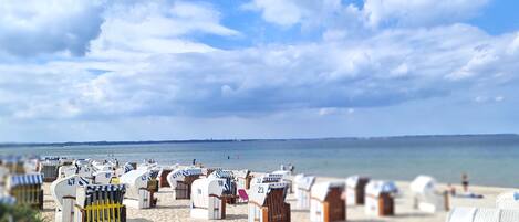 In Strandnähe, Liegestühle