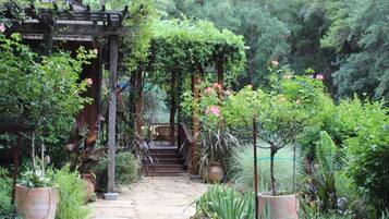 House | Property grounds