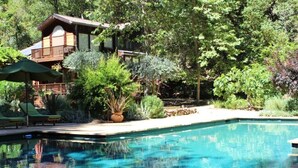 House | Pool - Glen Cameron (Glen Ellen)