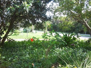 House | Property grounds