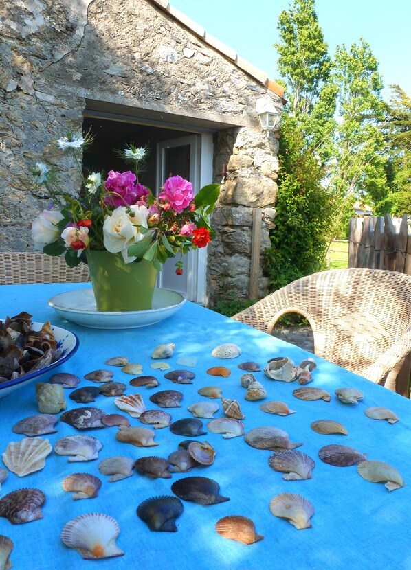 Une table recouverte d’une nappe bleue, sur laquelle sont disposés divers coquillages et un vase de fleurs.