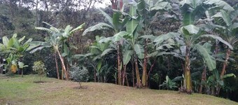 Nice rest house in the natural reserve of Pedro Palo