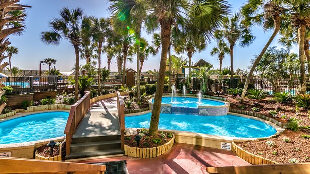 Un espace piscine comprenant plusieurs piscines, entouré de palmiers et de passerelles en bois.