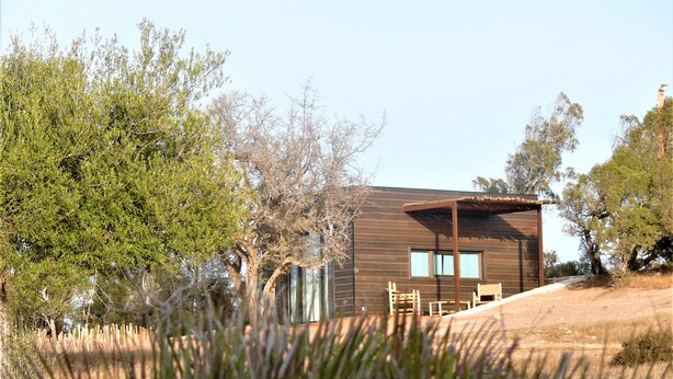 Una cabaña moderna de madera con un espacio de patio, rodeada de vegetación natural.