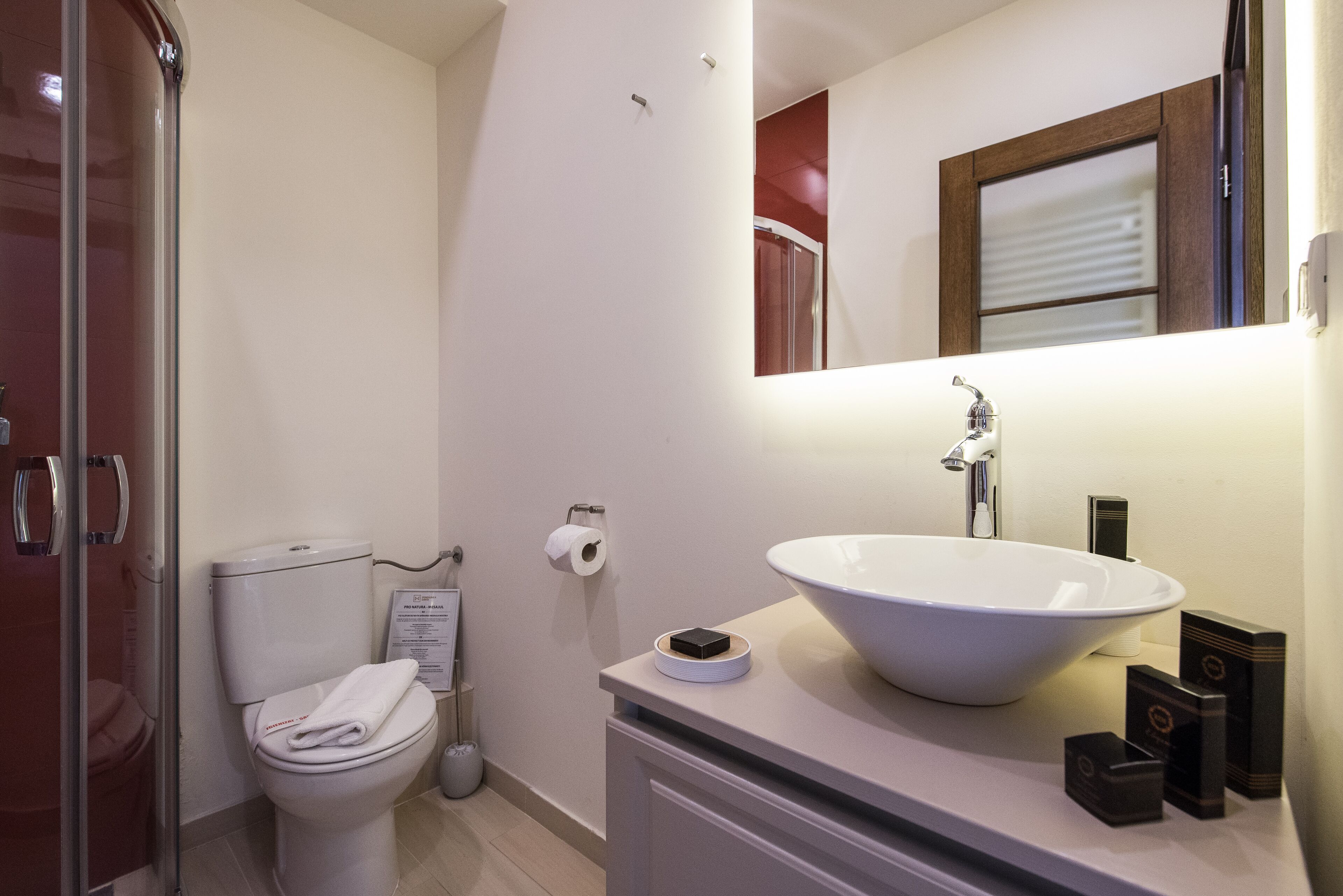 A bathroom with a white sink, a toilet, a shower, and a mirror.