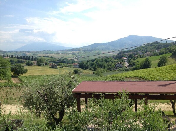 A vineyard with a table and chairs in the foreground, a road, and a distant mountain range. - Agriturismo Terre Vineate (Montalto delle Marche)