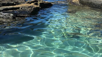 Pantai berhampiran, pasir putih, 10 bar pantai