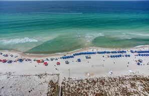 An aerial view of a beach with rows of blue umbrellas and beach chairs, a sandy shore, and the ocean in the background.