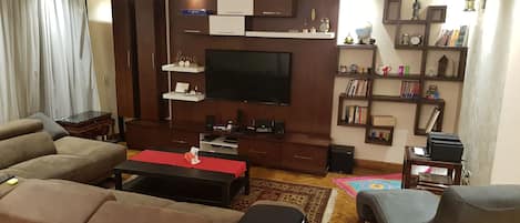 Fernseher, Bücher