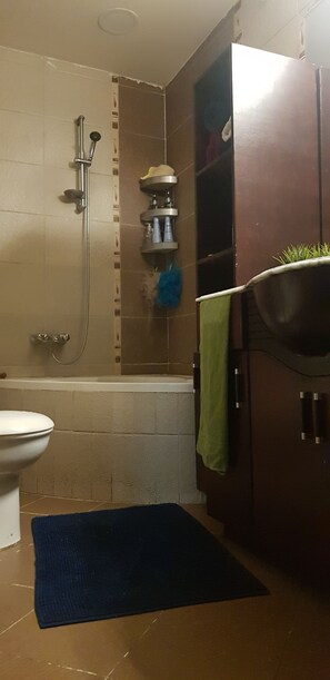Hair dryer, towels, shampoo, toilet paper