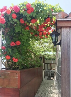 Apartment, 1 Schlafzimmer | Terrasse/Patio