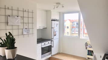 Fridge, oven, stovetop, electric kettle