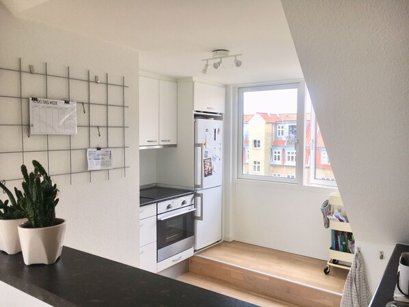 Fridge, oven, stovetop, electric kettle