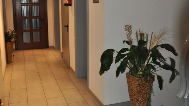 A hallway with a wooden door at the end, a potted plant, and a fire extinguisher on the wall. - Hotel Lamm (Neckarsulm)