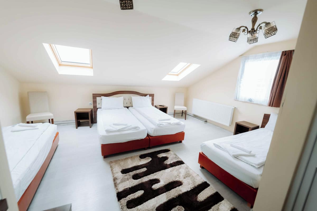 Room, Multiple Beds