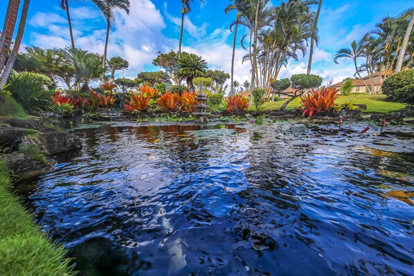 Terrain de l’hébergement 