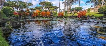 1 makuuhuoneen huoneisto puutarhaan - Pono Kai