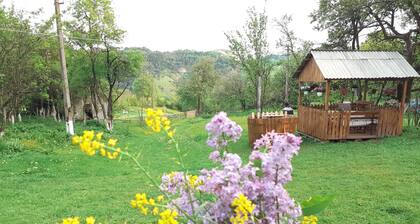 Retreat Sejour Farm On Casa Mountain Sanctuary,Roşia Montana, Romania
