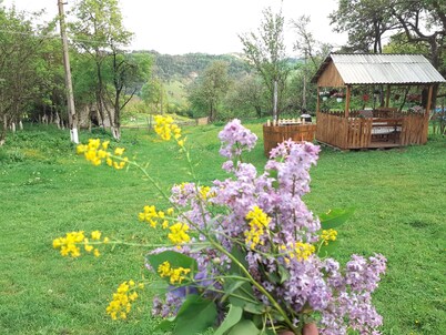 Cozy Retreat Casa Mountain Sanctuary ,Roşia Montana,Romania