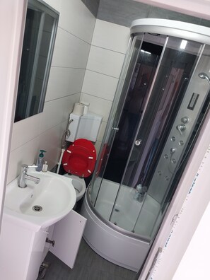 Combined shower/bathtub